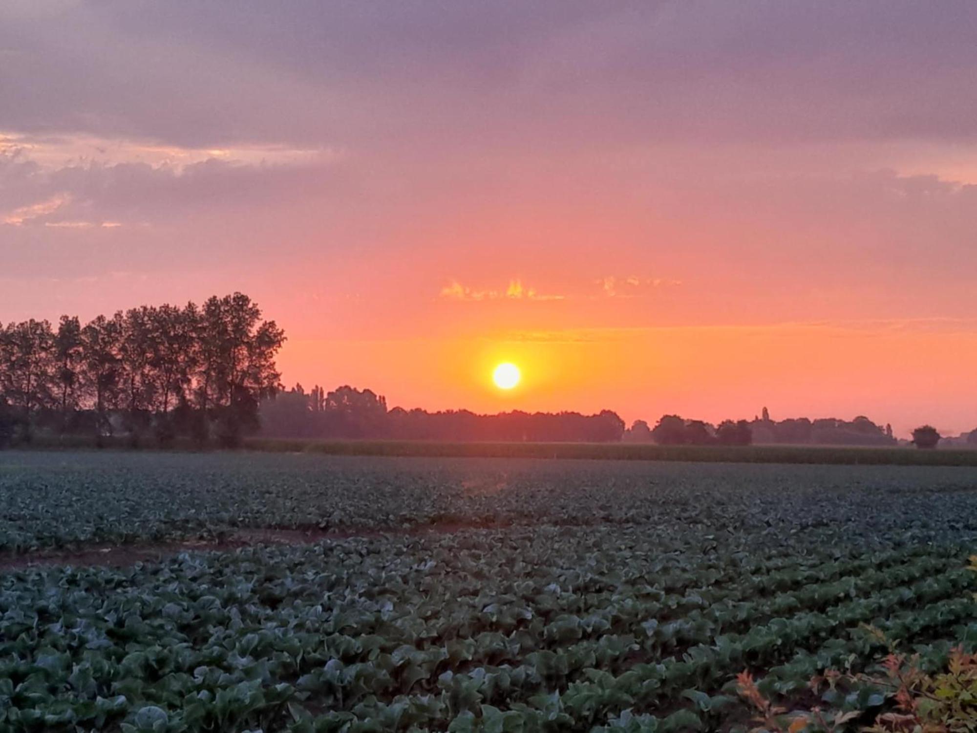 Vakantiehuis Schardauw Damme Dış mekan fotoğraf